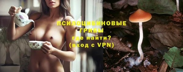 меф Медвежьегорск