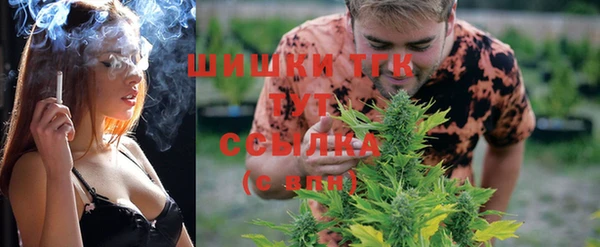 меф Медвежьегорск