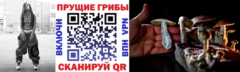 darknet состав  Новое Девяткино  Псилоцибиновые грибы ЛСД 